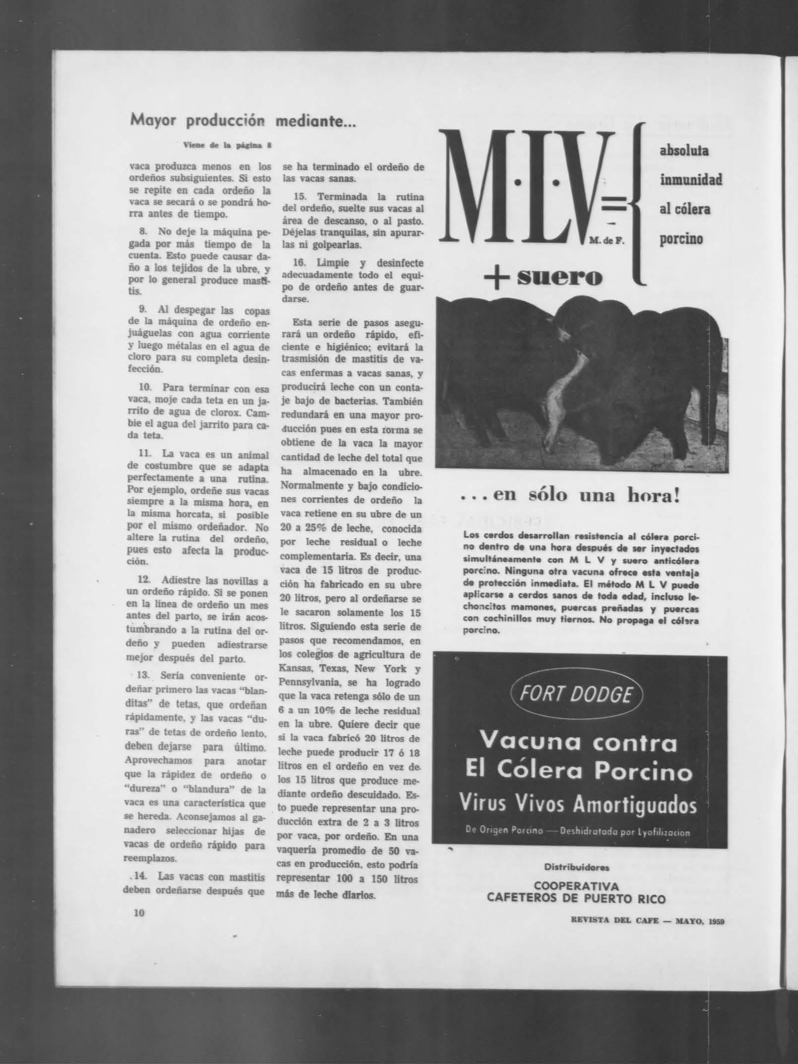 Revista del Café (mayo 1959) by La Colección Puertorriqueña - Issuu